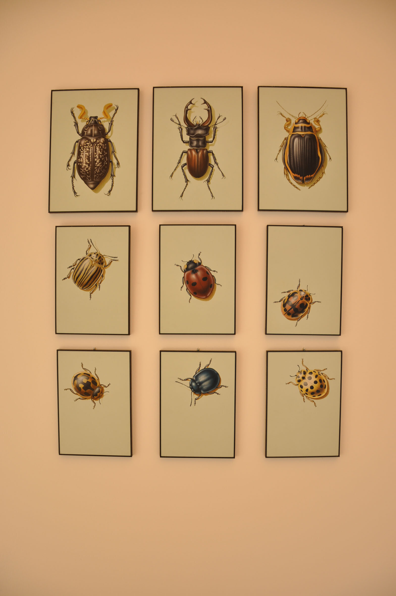 意式创意空间·41 号样本建筑-8