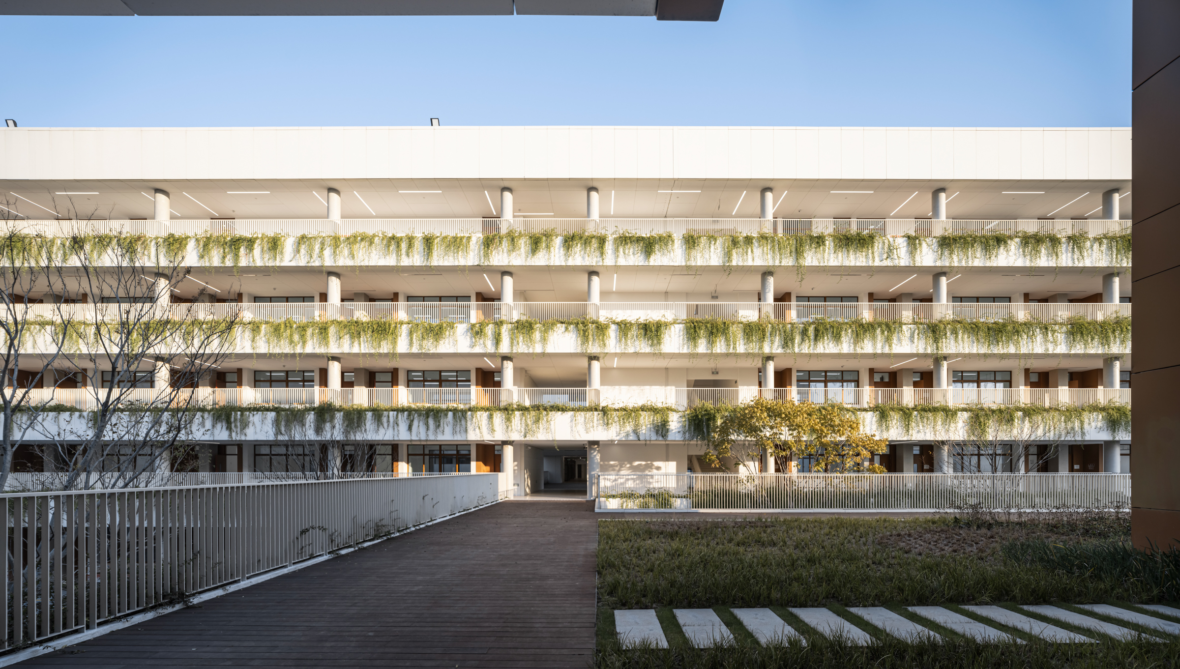 为校园“留白”：金陵中学附属中小学 / 九城都市-12