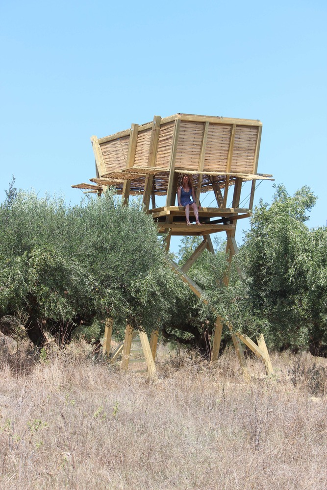 Tragata 临时木结构建筑-36