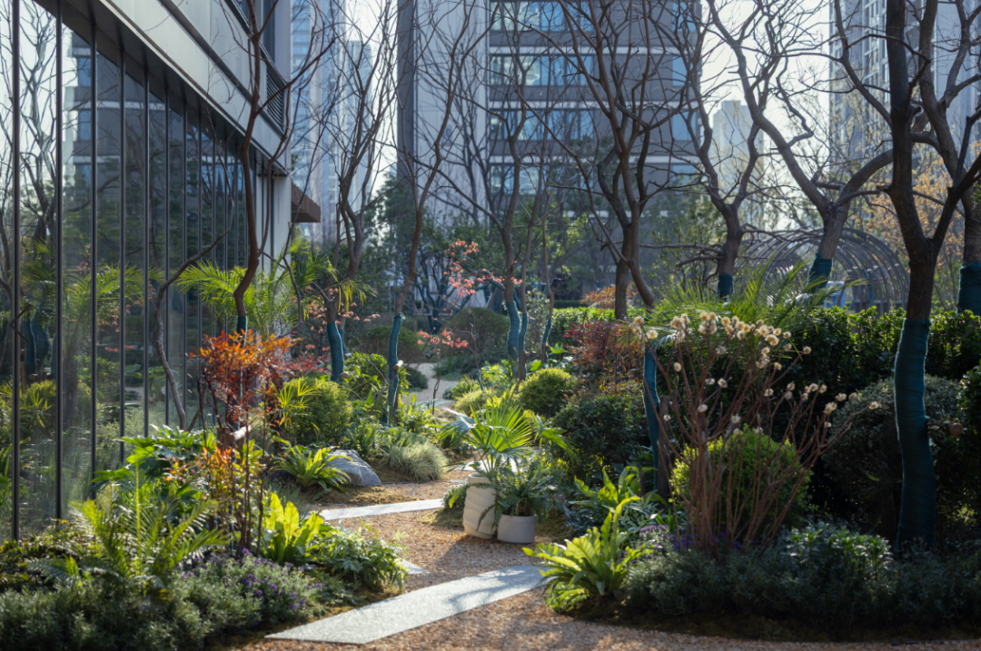 城市兴交付Vol.44|住进自然里，闪耀生活的光@星图光年轩-63