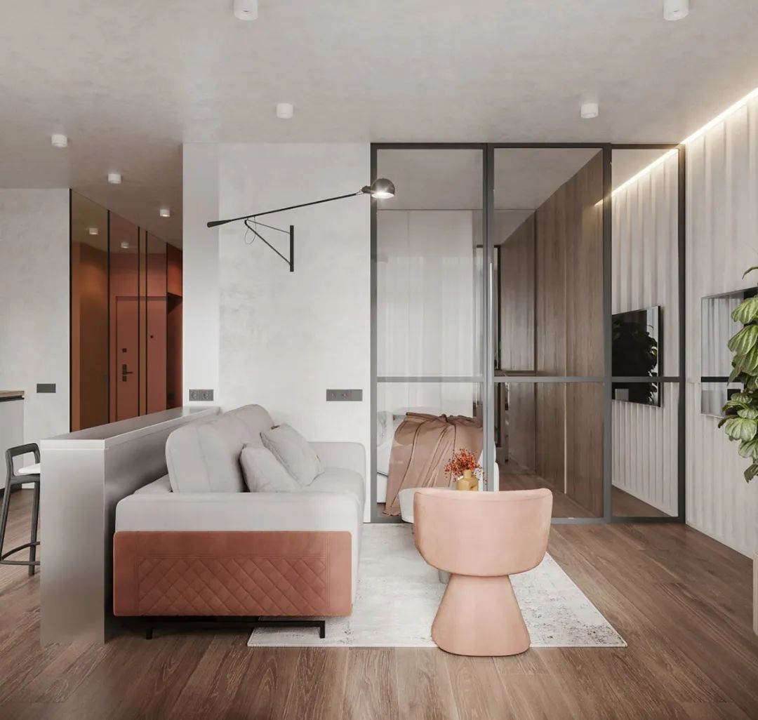 44㎡小宅设计丨Dmitry Shevchenko-4