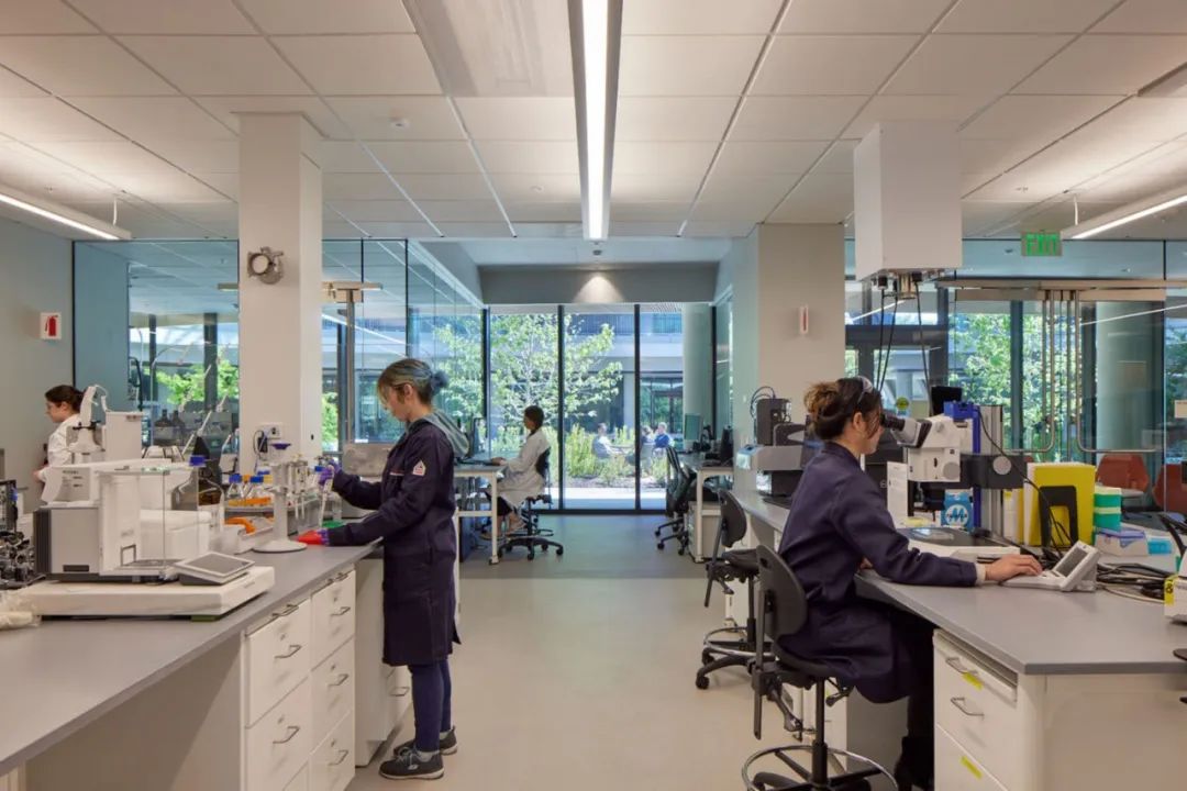 全球顶尖实验室案例｜斯坦福大学Sarafan ChEM-H&吴蔡神经科学研究院-32