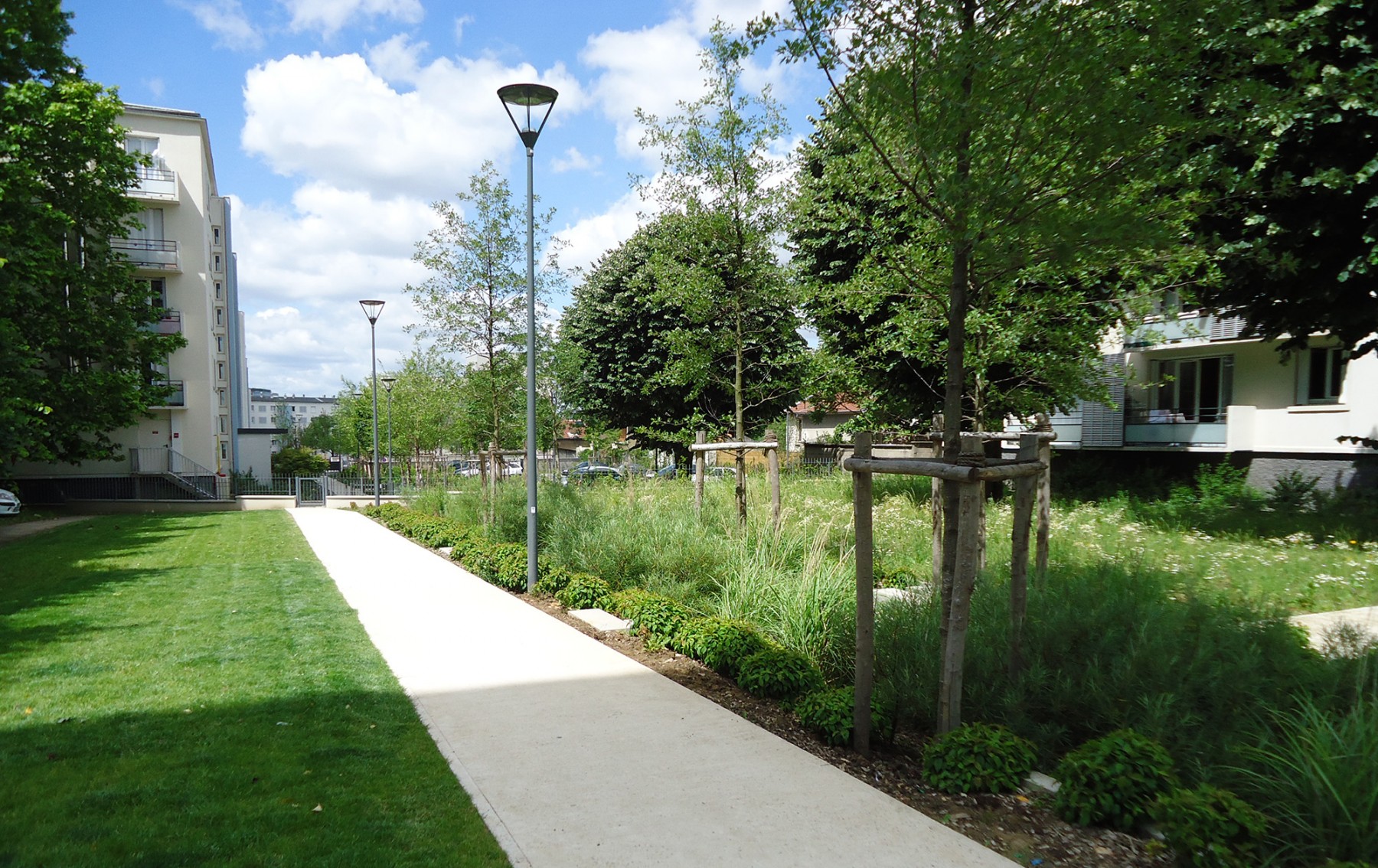 Quartier Bel  Air城市更新项目丨法国-3