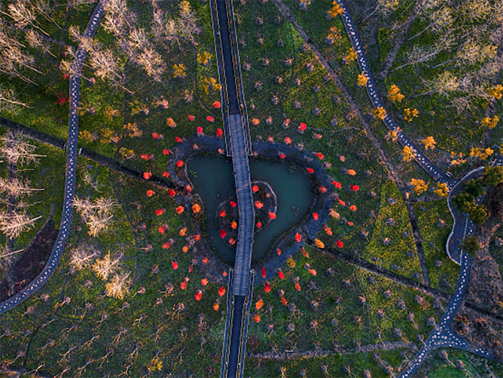 2023上海城市空间艺术季丨中国上海丨多个国内外参展人,团队,机构-218