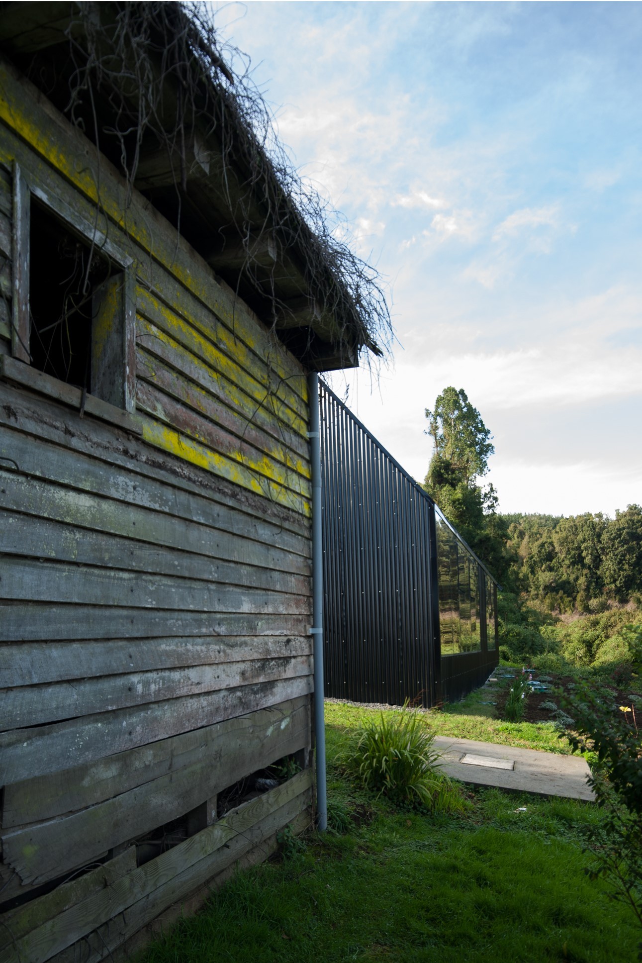 Pfeiffer House / Abarca Palma Arquitectos-30