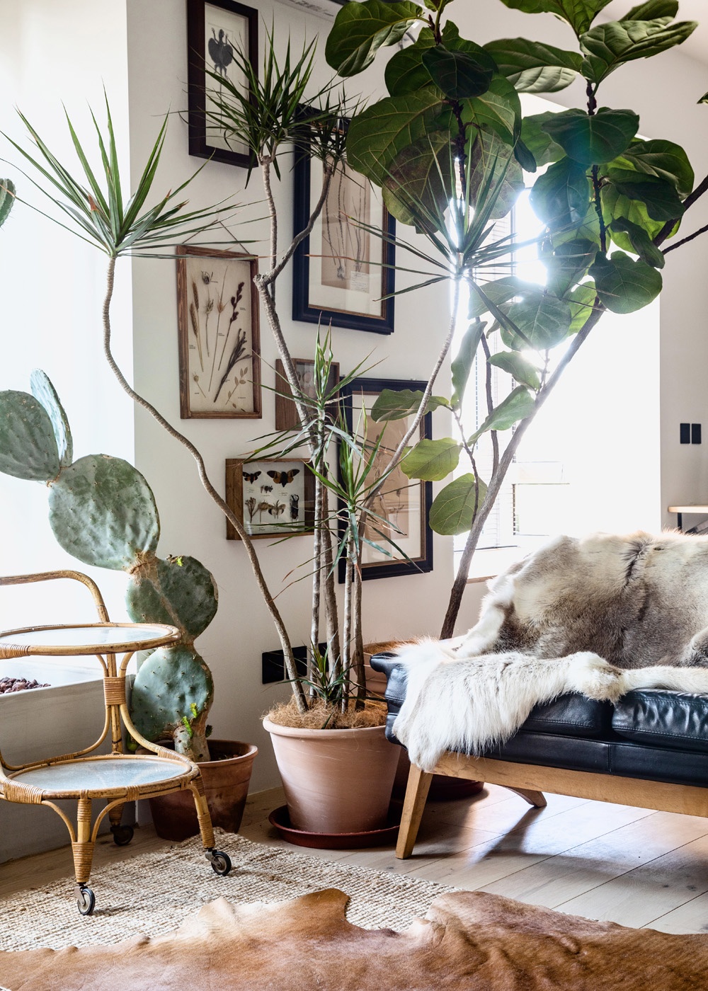 充满呼吸感的家-71