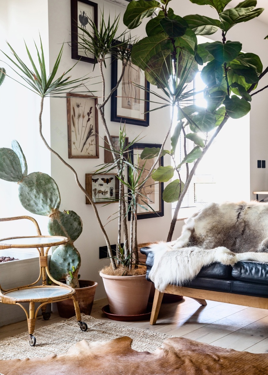 充满呼吸感的家-71