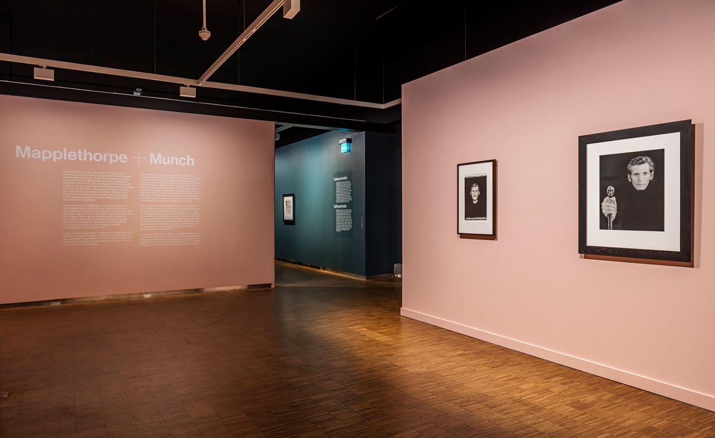 Mapplethorpe Munch 展览-8