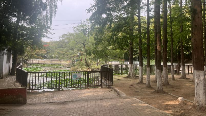 百姓乐园：榉林山焕新归来，悦享自然人文之美-40