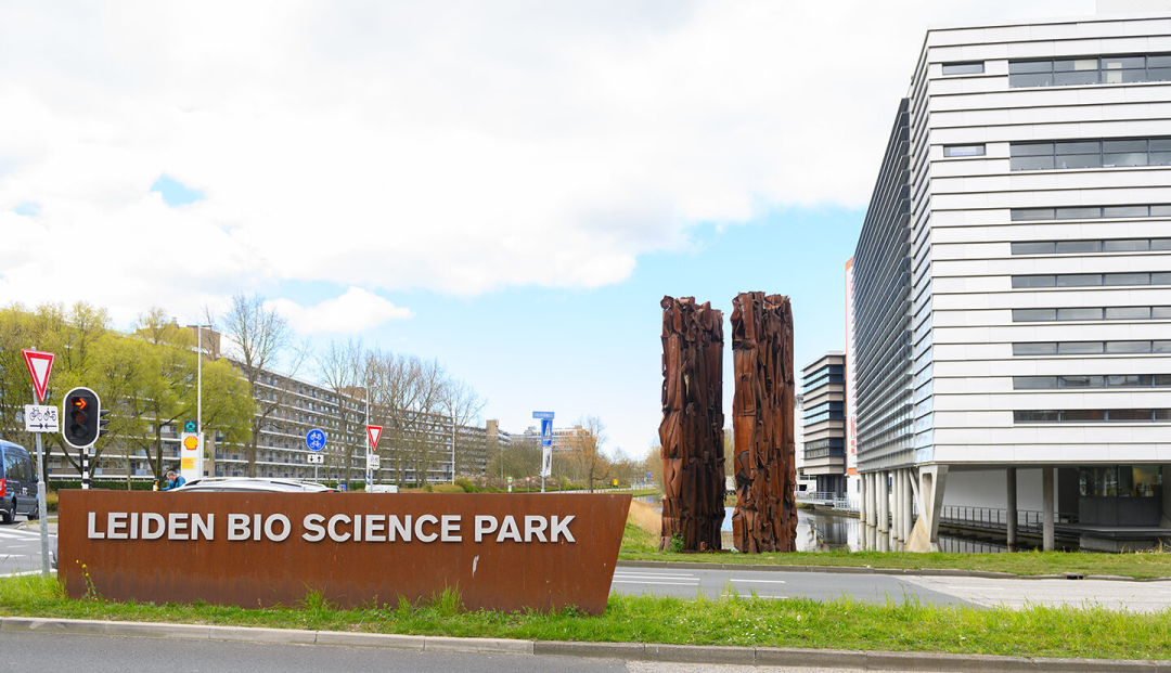 湖中四边形岛屿丨荷兰鹿特丹丨Frans de Wit-67