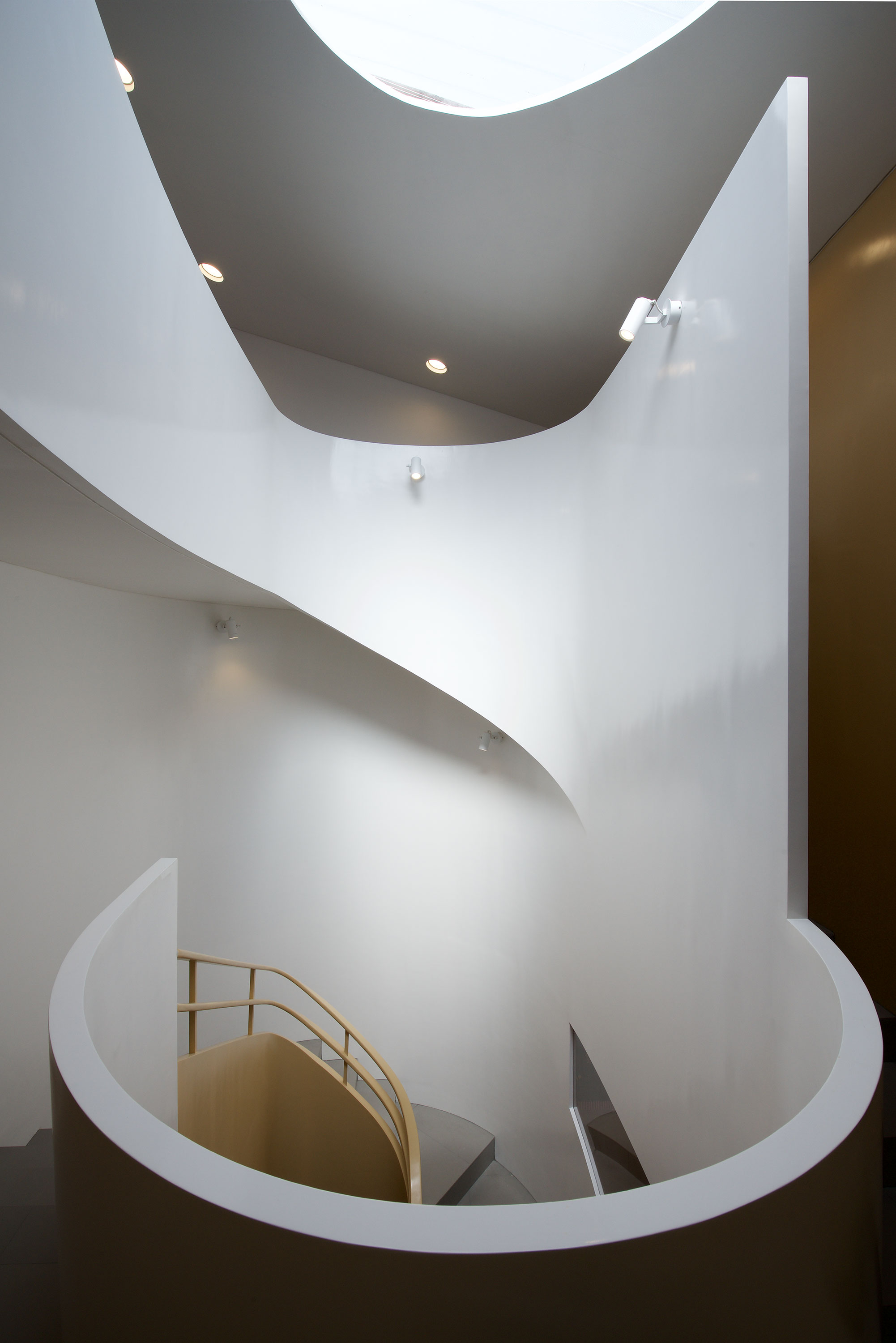 蜂蜜蜜蜂语言俱乐部-0