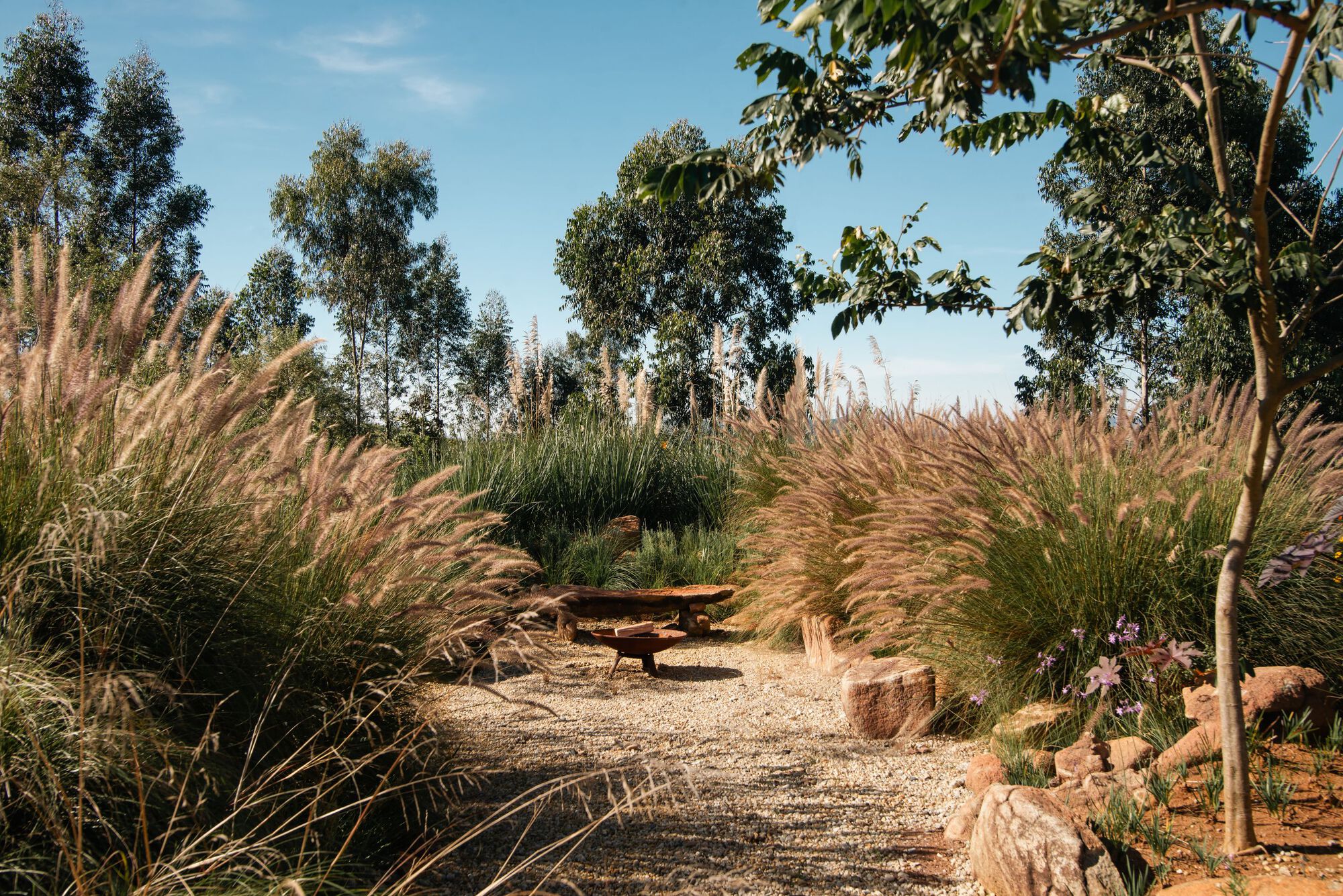 自建别墅丨巴西圣保罗丨Studio Zanskar,TAU Arquitetos-63