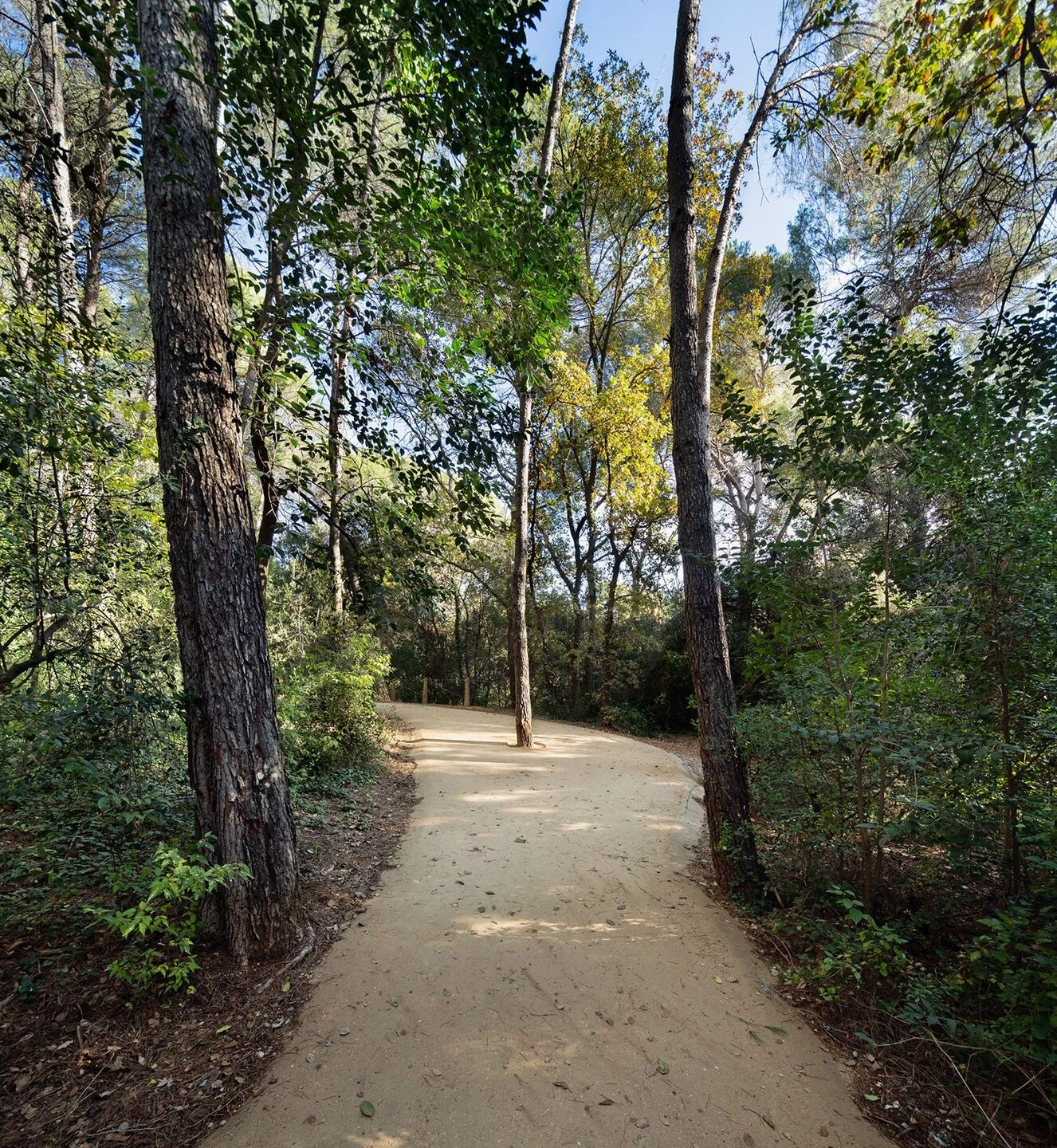 Volpelleres 森林公园丨西班牙巴塞罗那丨Hiha 工作室-12