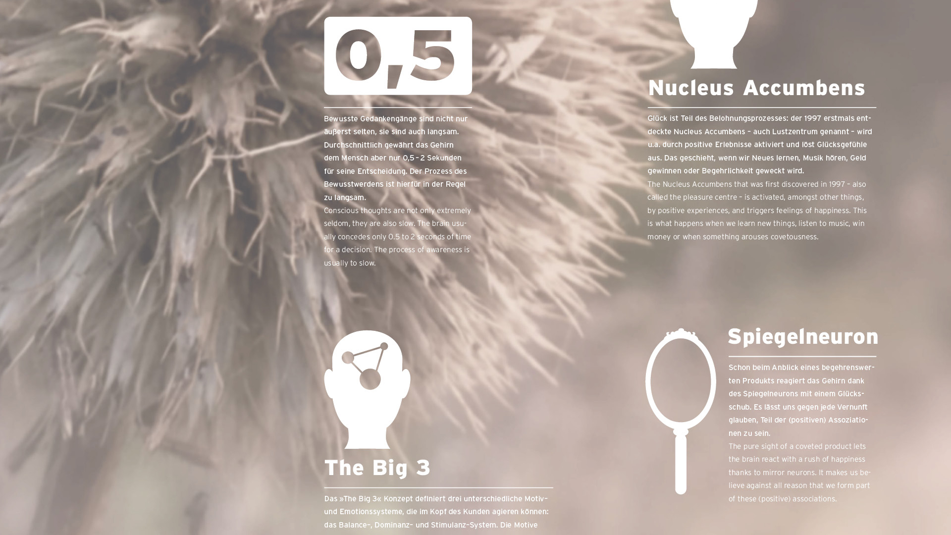 Written Architecture - Graphics - Projects - D'art Design Gruppe-5