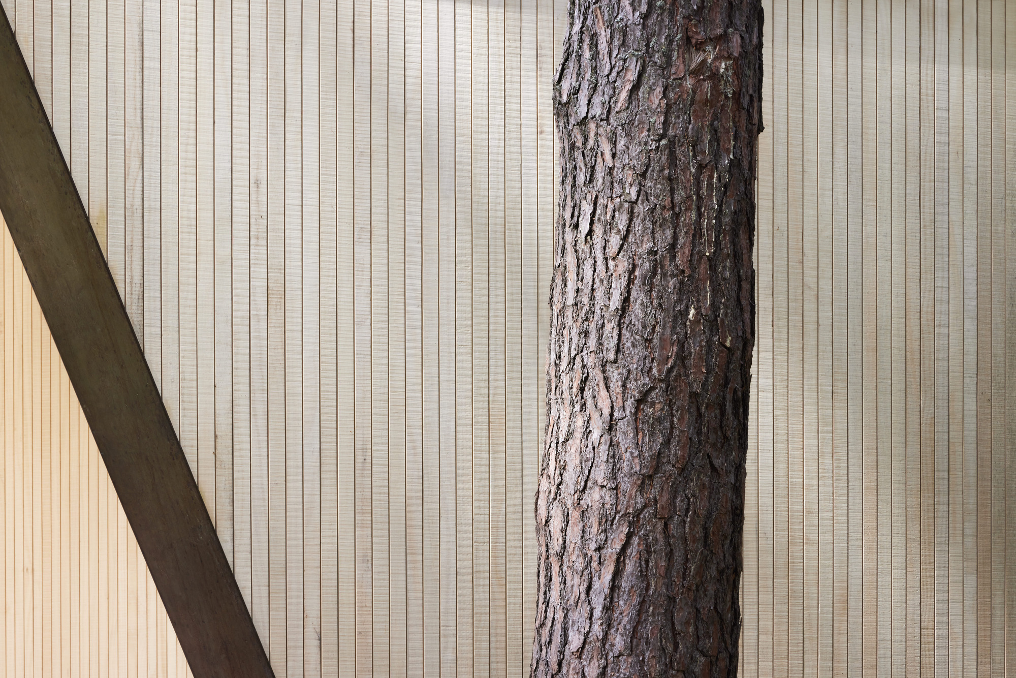 森林中的房屋丨立陶宛维尔纽斯丨Architektūros linija-44