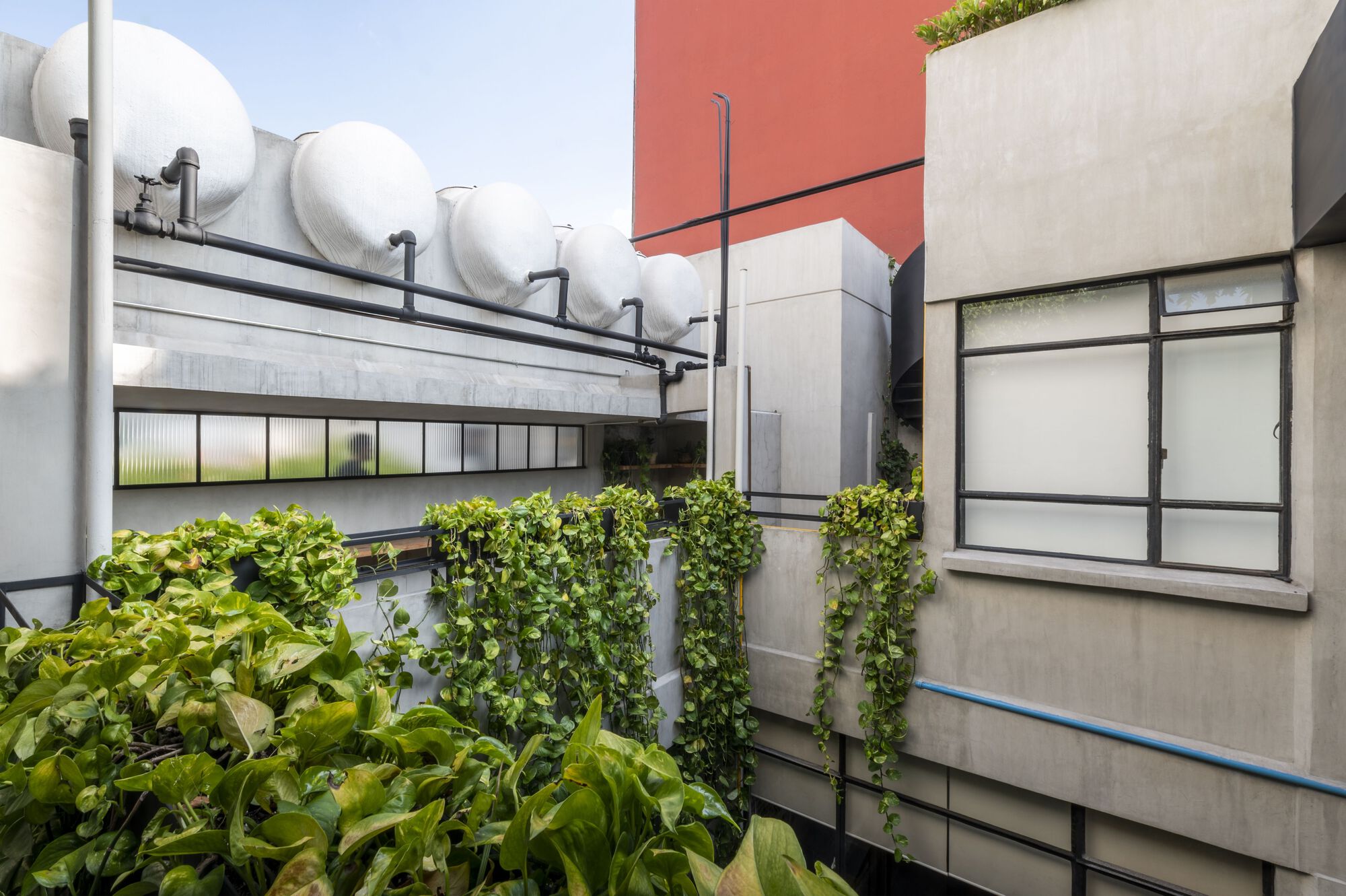 Pachuca 81 建筑改造丨墨西哥墨西哥城丨Namikase Studio-15