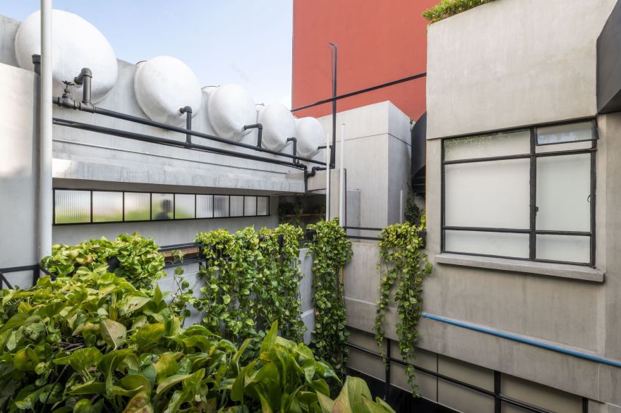 Pachuca 81 建筑改造丨墨西哥墨西哥城丨Namikase Studio-15