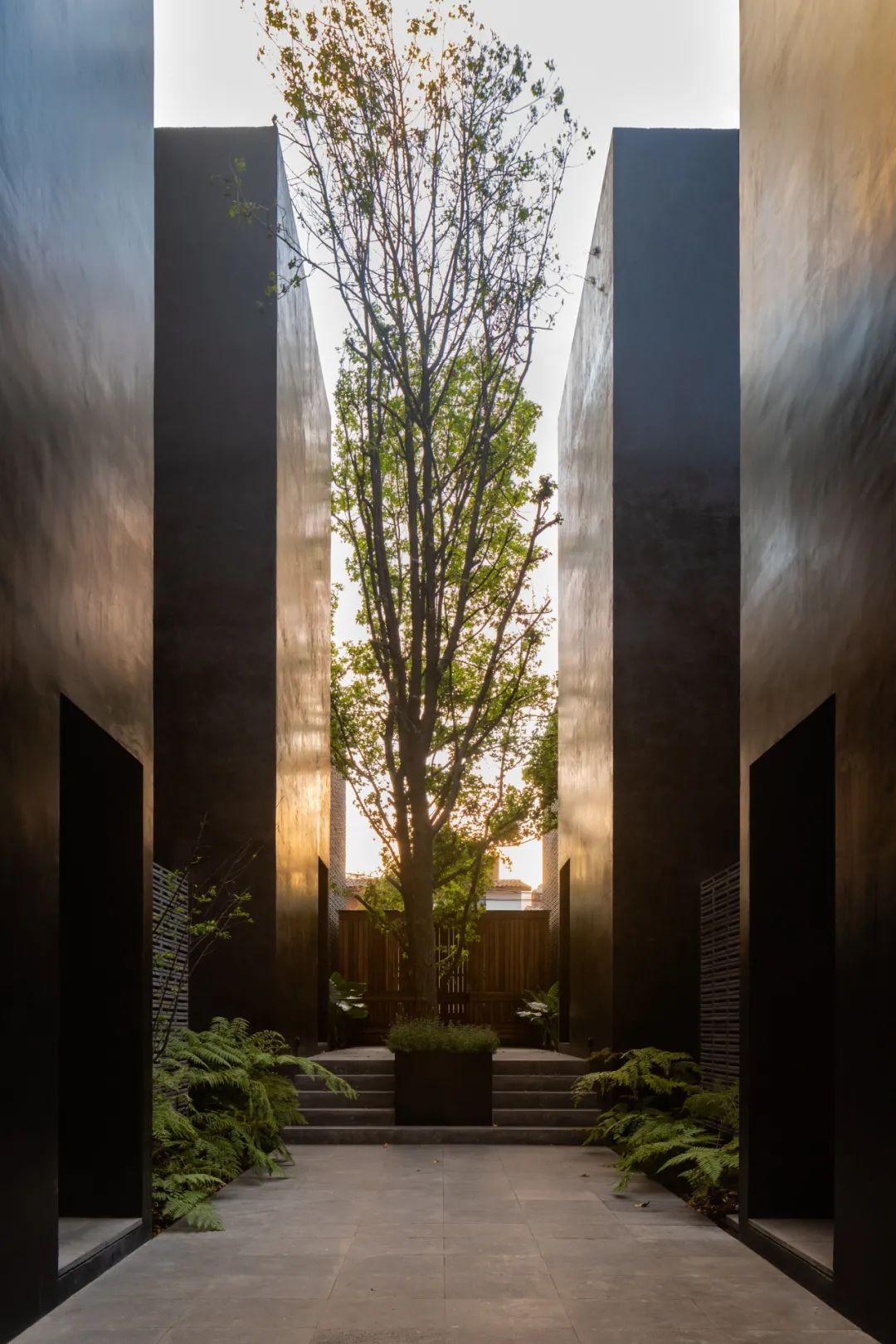 墨西哥现代住宅设计 | 融入自然,展现多元文化-164