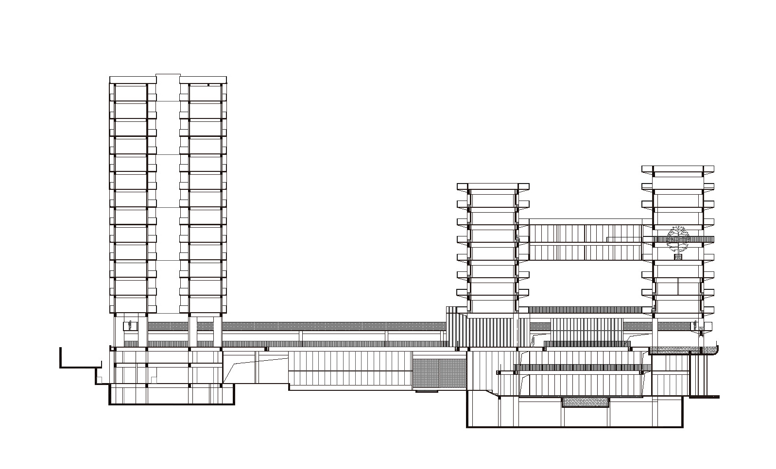 深圳国际教育学院丨中国深圳丨李晓东工作室-37
