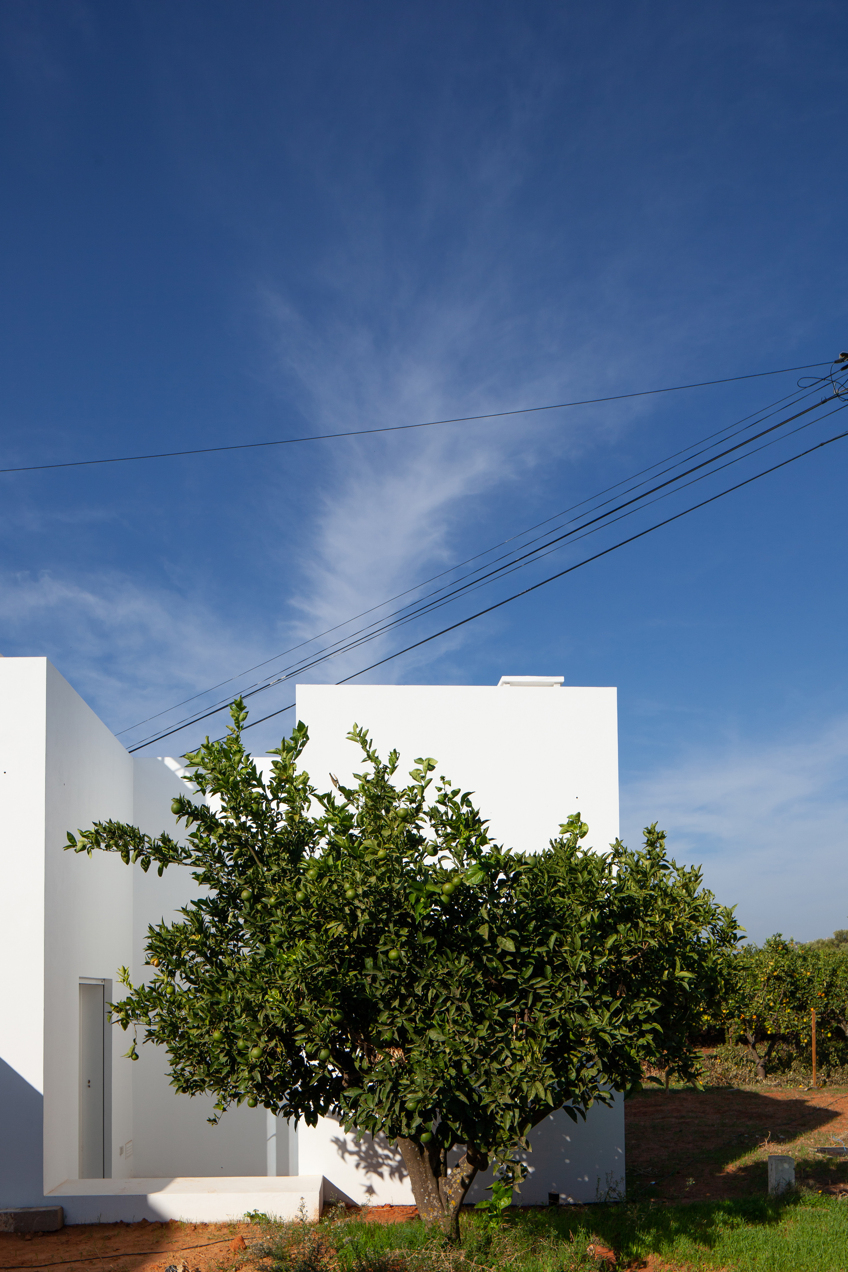 Falfosa House | TAEP+AAP-17