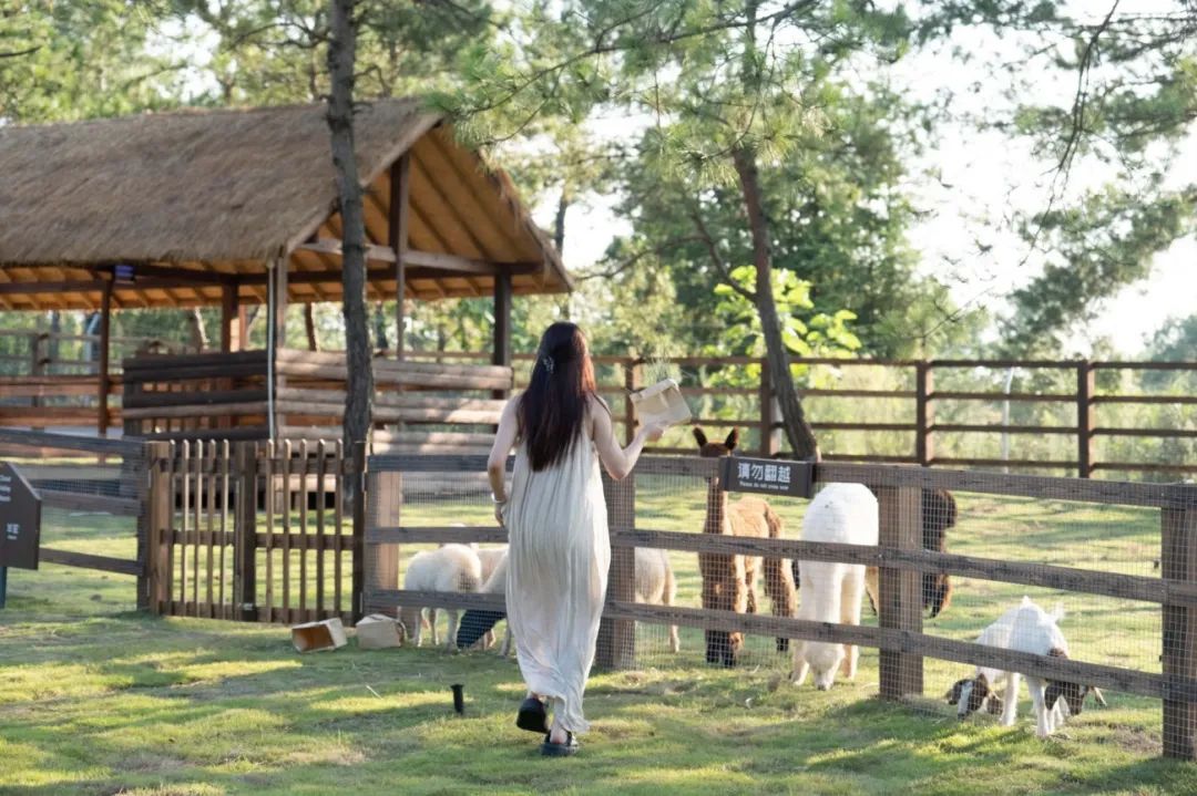 江西·云天麓谷牧场与茶室丨中国吉安丨平介设计&则问设计-2