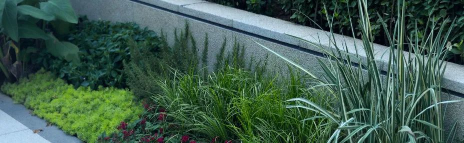 漾拾光 悦生活｜金地·正华漾时代（大区）-151