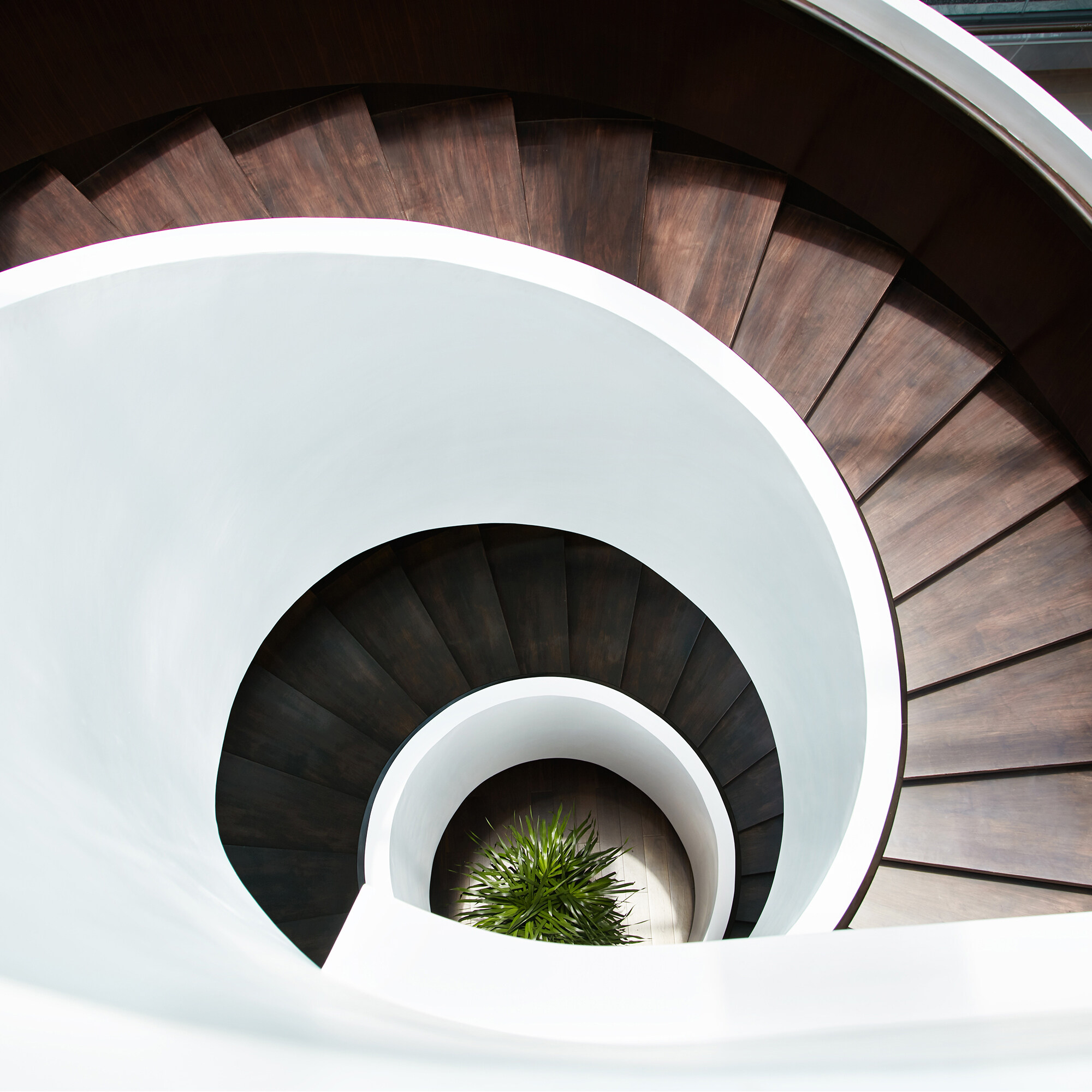 办公大堂丨共生形态 C&C DESIGN-9