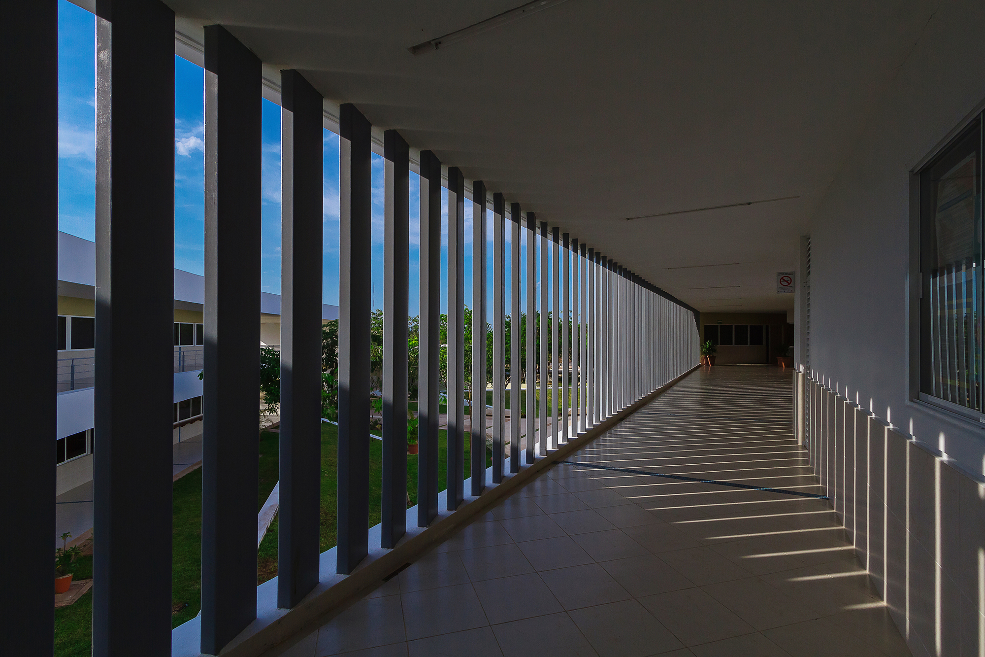 墨西哥尤卡坦自治大学教育建筑——绿色校园中的曲线魅力-20