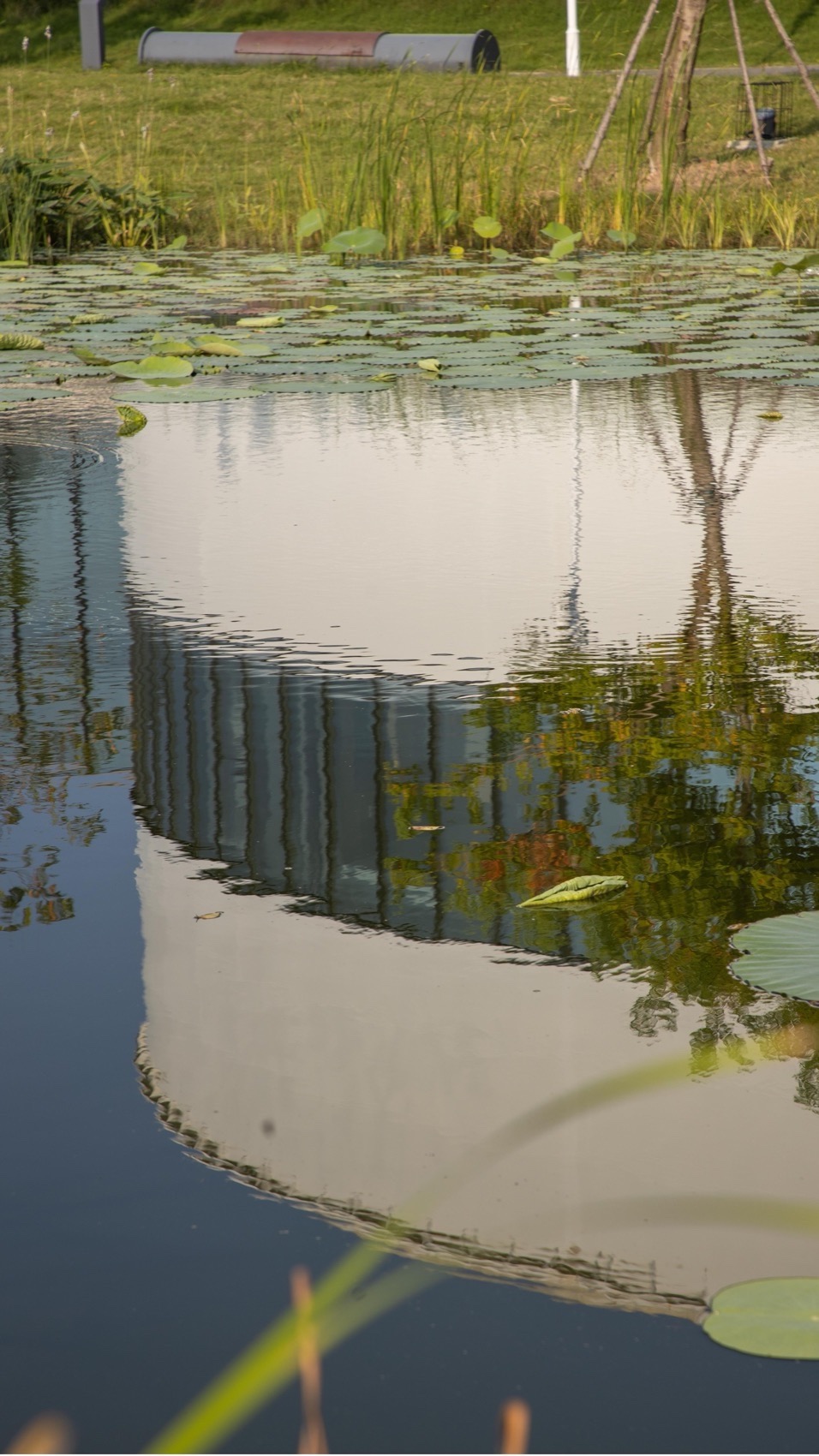 安庆市滨江ECD油罐生态文化中心丨中国安庆丨安徽坊地建筑景观规划设计有限公司-52