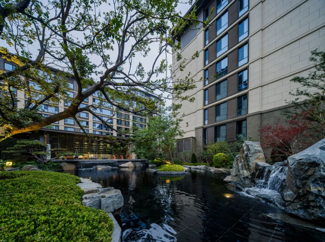 邯郸 · 天正 · 凤鸣九章丨中国河北丨麦田景观-38