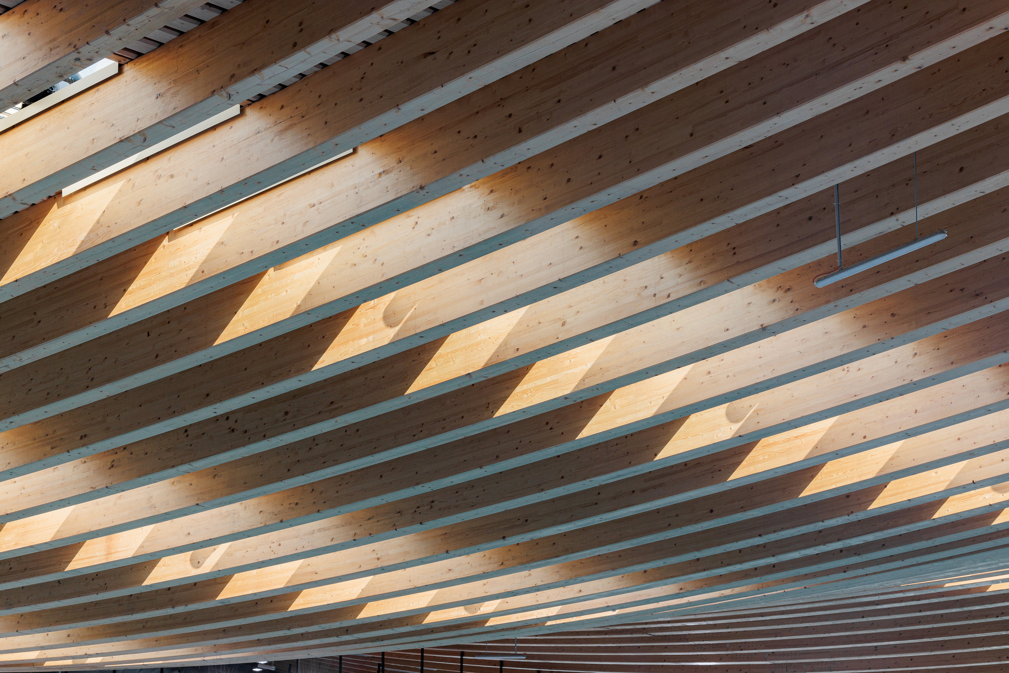 巴黎水上运动中心丨法国丨VenhoevenCS,Ateliers 2,3,4,-57