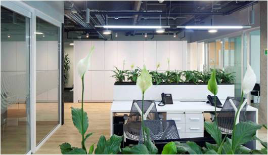 Yara International 办公室设计丨哥伦比亚丨Tressesenta S.A.S  Daniel Vanegas-19