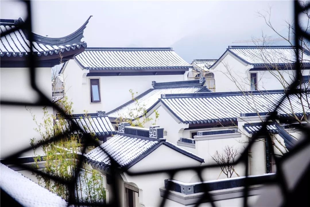 中森寻美郑州行,论赋设计/生活/美学 | 戴鑫的创意之作-57