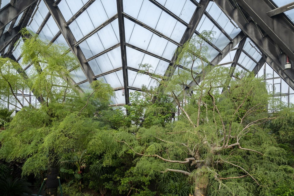 衡水植物园温室展览馆丨中国河北丨空格建筑-89