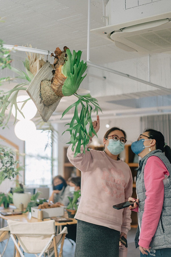 CornerGreen植角|植栽教學・森學【鹿角蕨居家佈置及上板課程】體驗工作坊-14