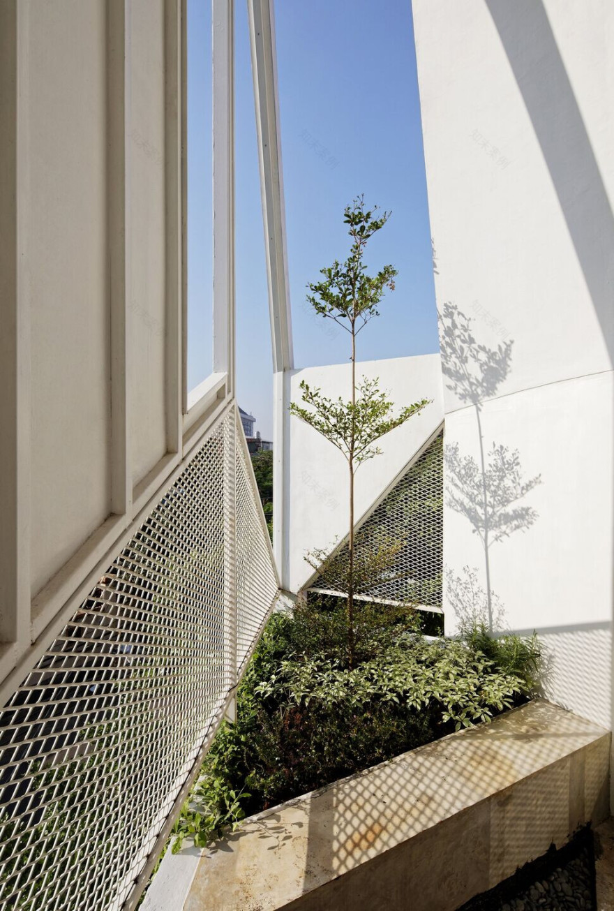 印尼狭地住宅,三角天花板创造宽敞空间-23