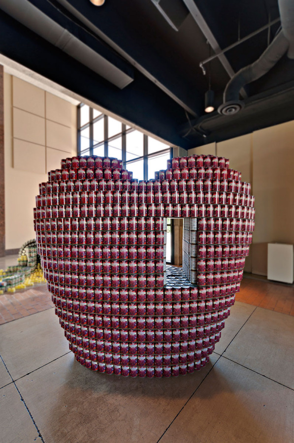 丨美国图森丨Rob Paulus Architects团队-0