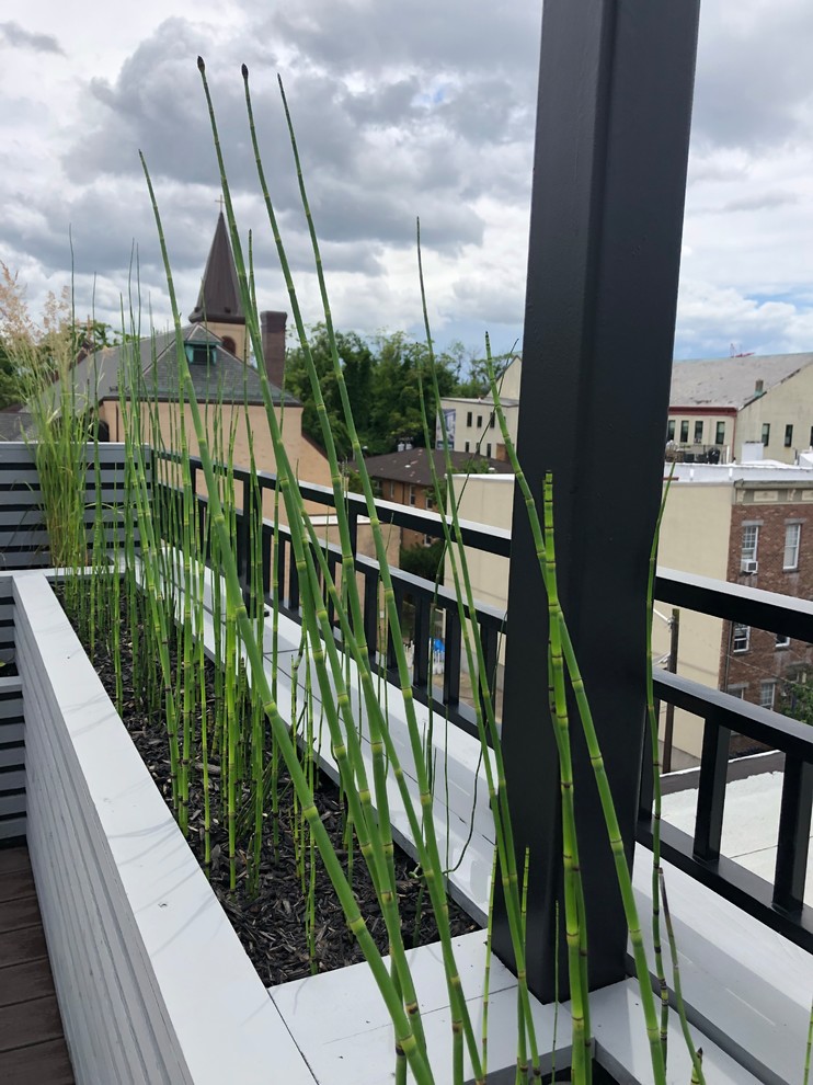 Jersey City Roof Garden-10