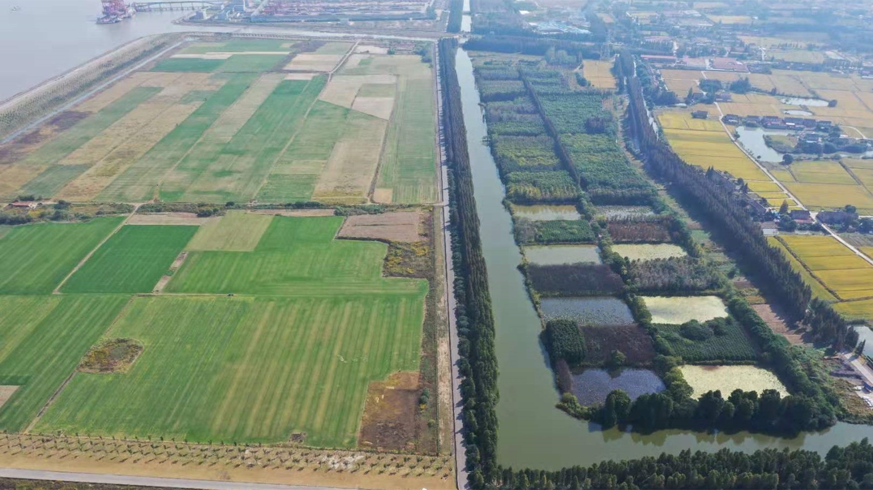 栋梁轩丨中国苏州丨神奇建筑研究室-33