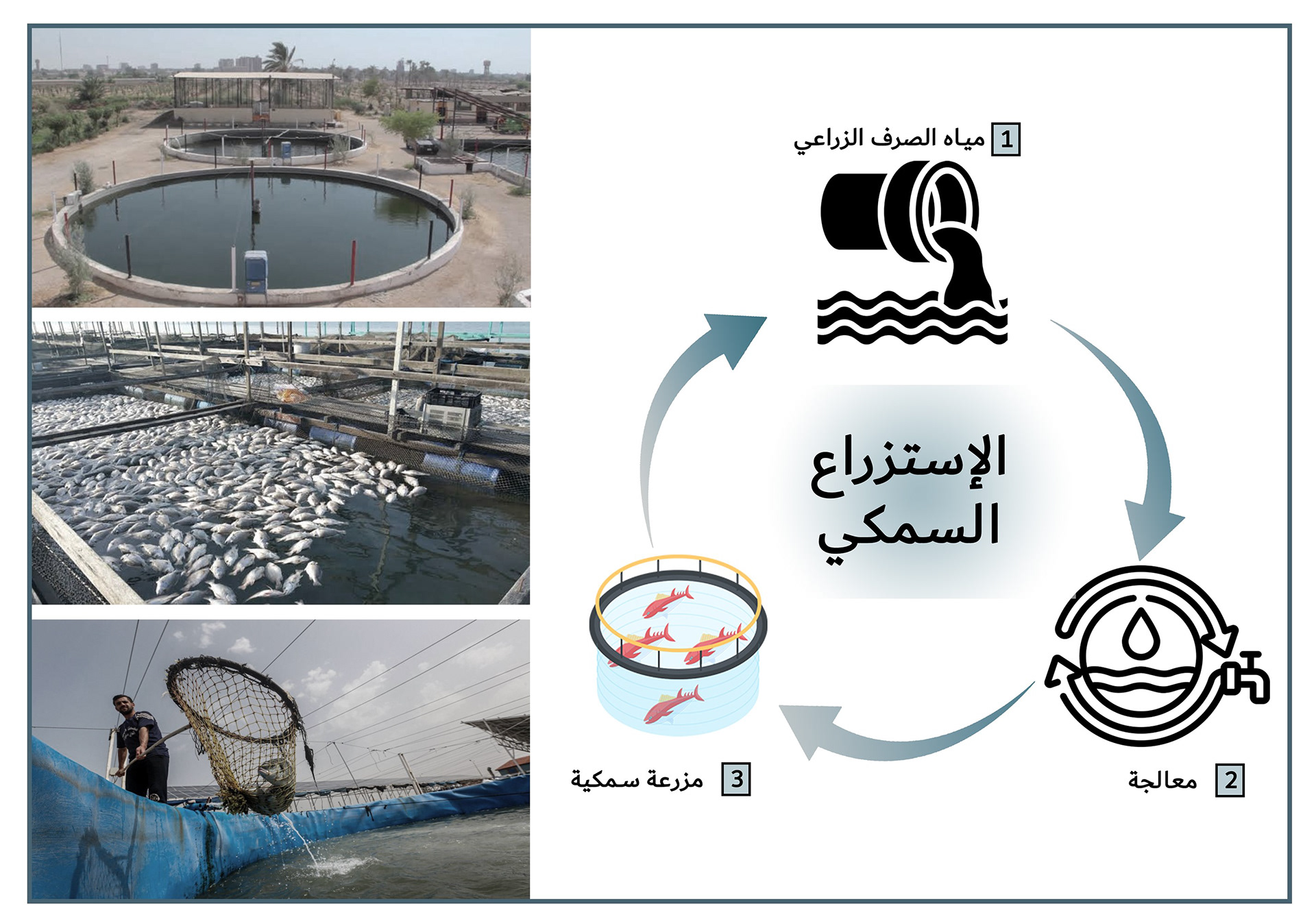 开罗市战略规划及现状研究项目丨埃及开罗丨亚历山大大学美术学院建筑系-59