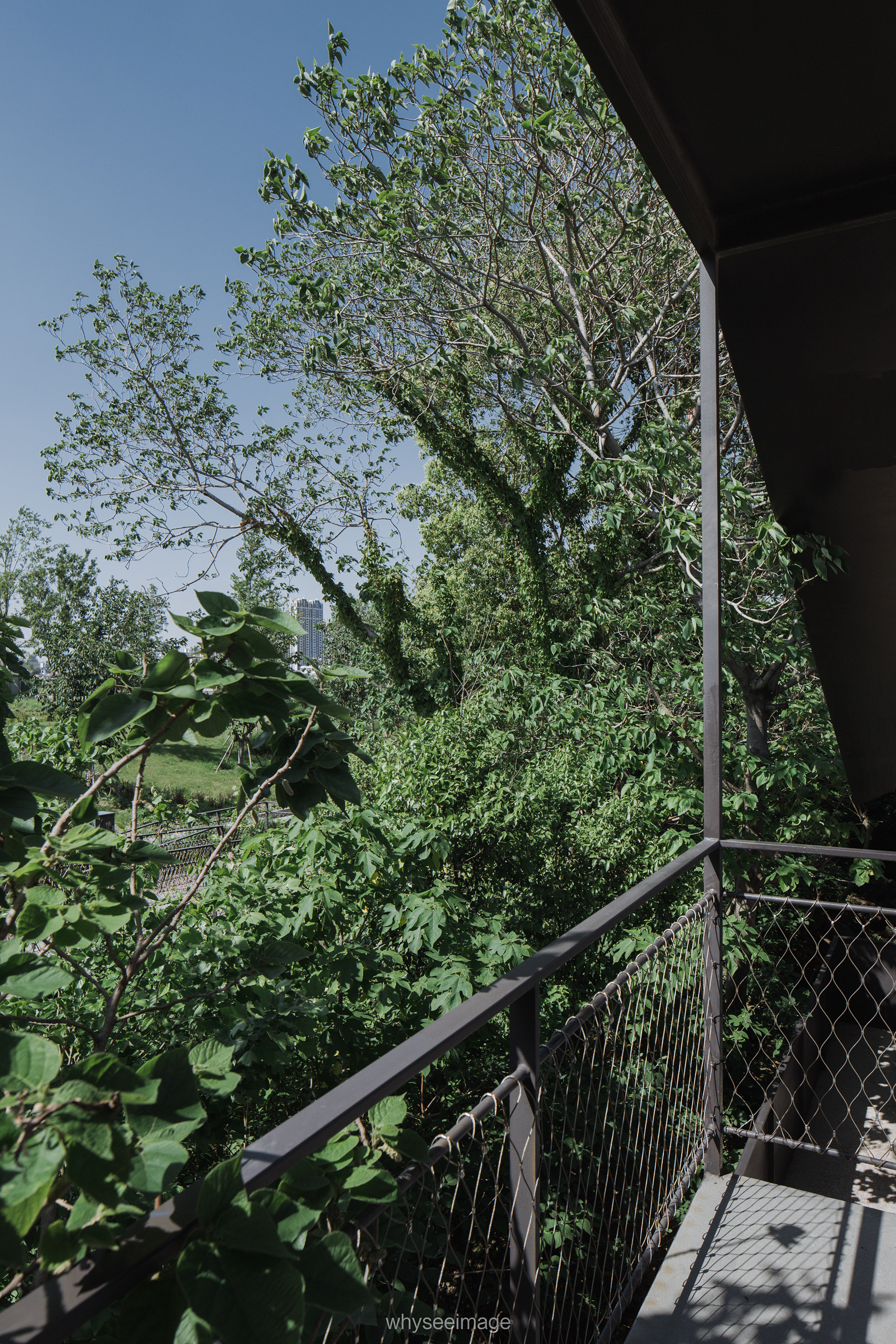 边园丨中国上海丨大舍建筑-27