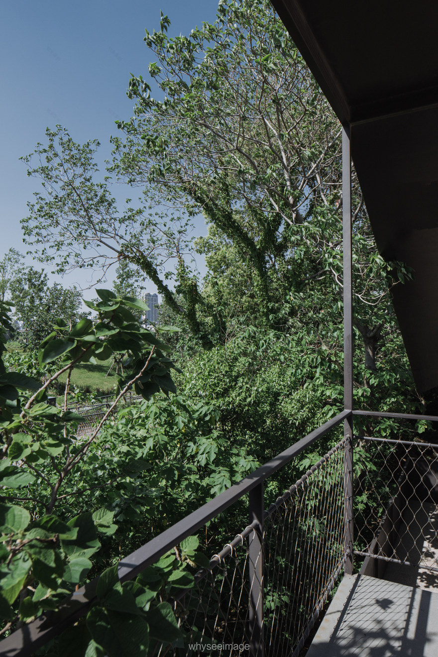 边园丨中国上海丨大舍建筑-27