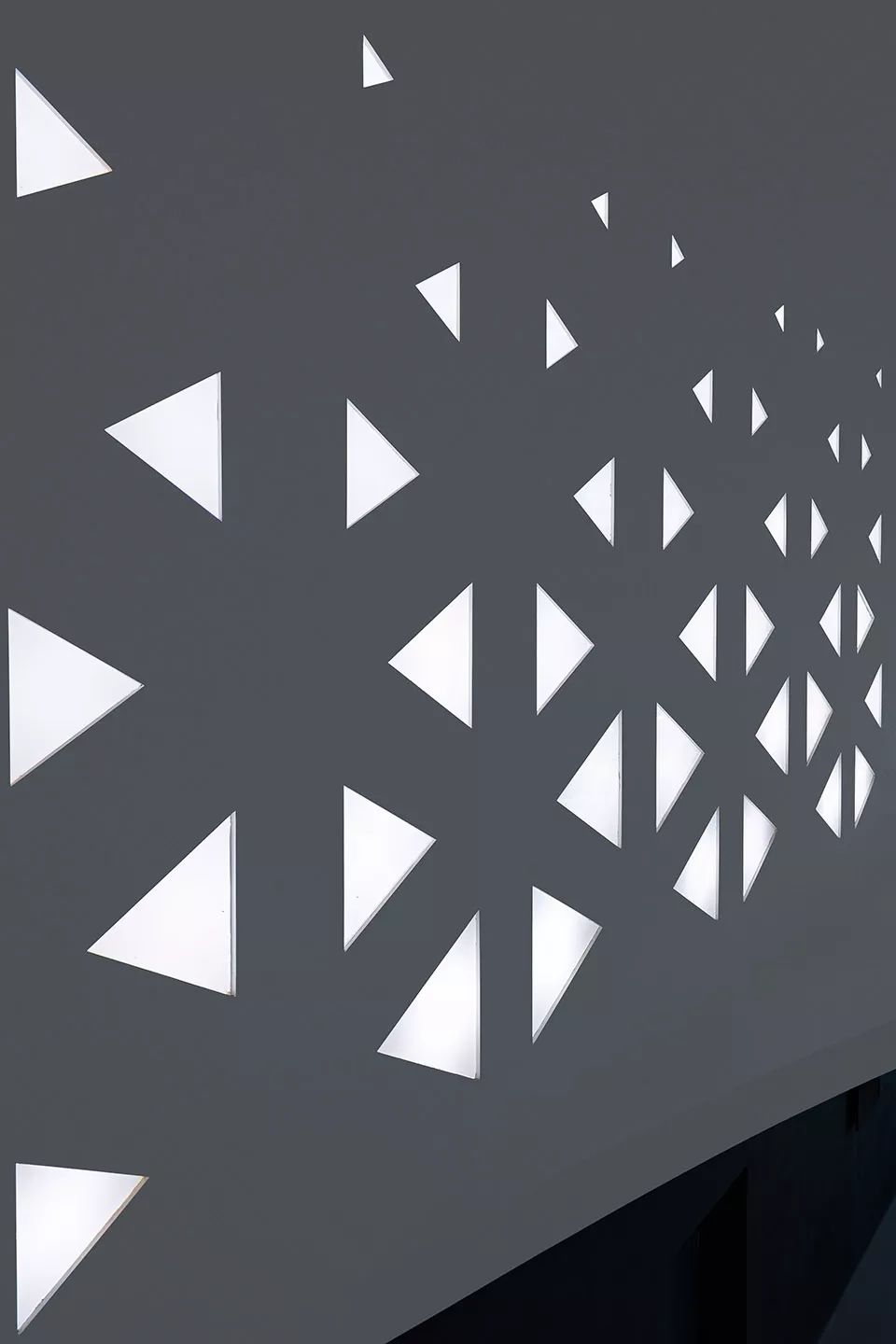 波浪造型下的如东体育中心,活力无限-48