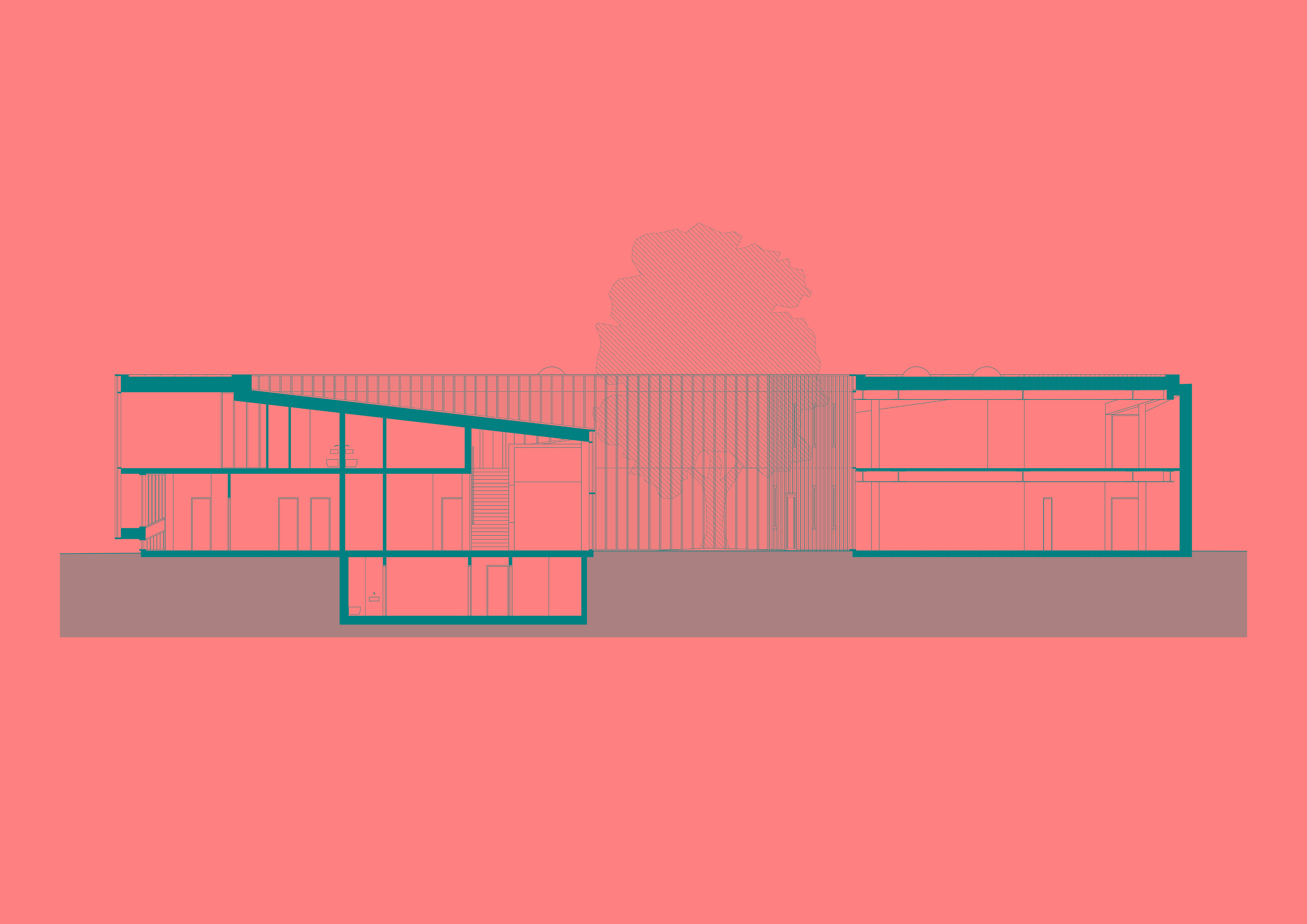 立陶宛篮球之家丨立陶宛考纳斯-41