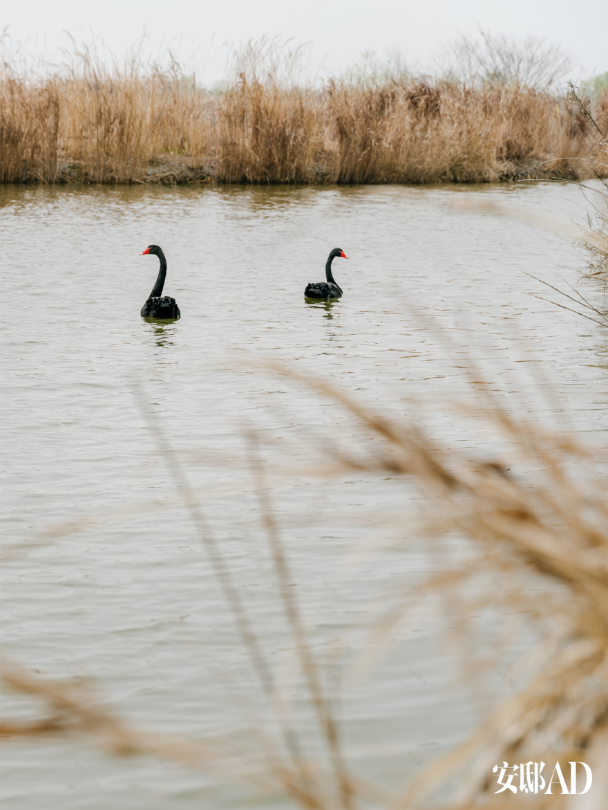 YARDCOM院半×SLD「山水之境」户外产品系列丨意大利米兰丨YARDCOM院半,梁志天,SLD·Andrea Bonini-8