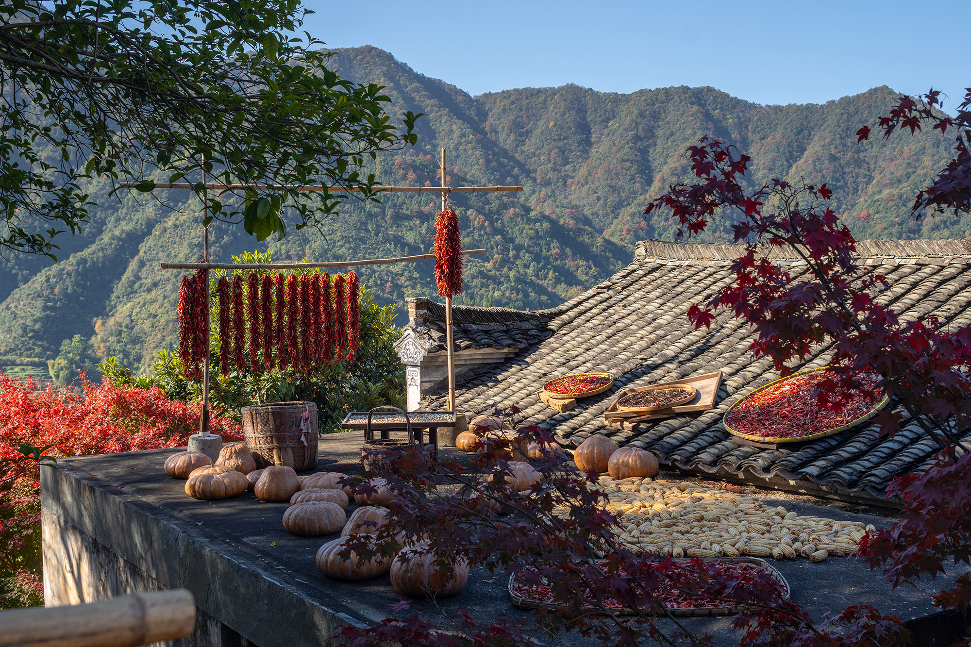 黄岭古村改造项目丨中国丨婺源乡村文化传媒有限公司-17