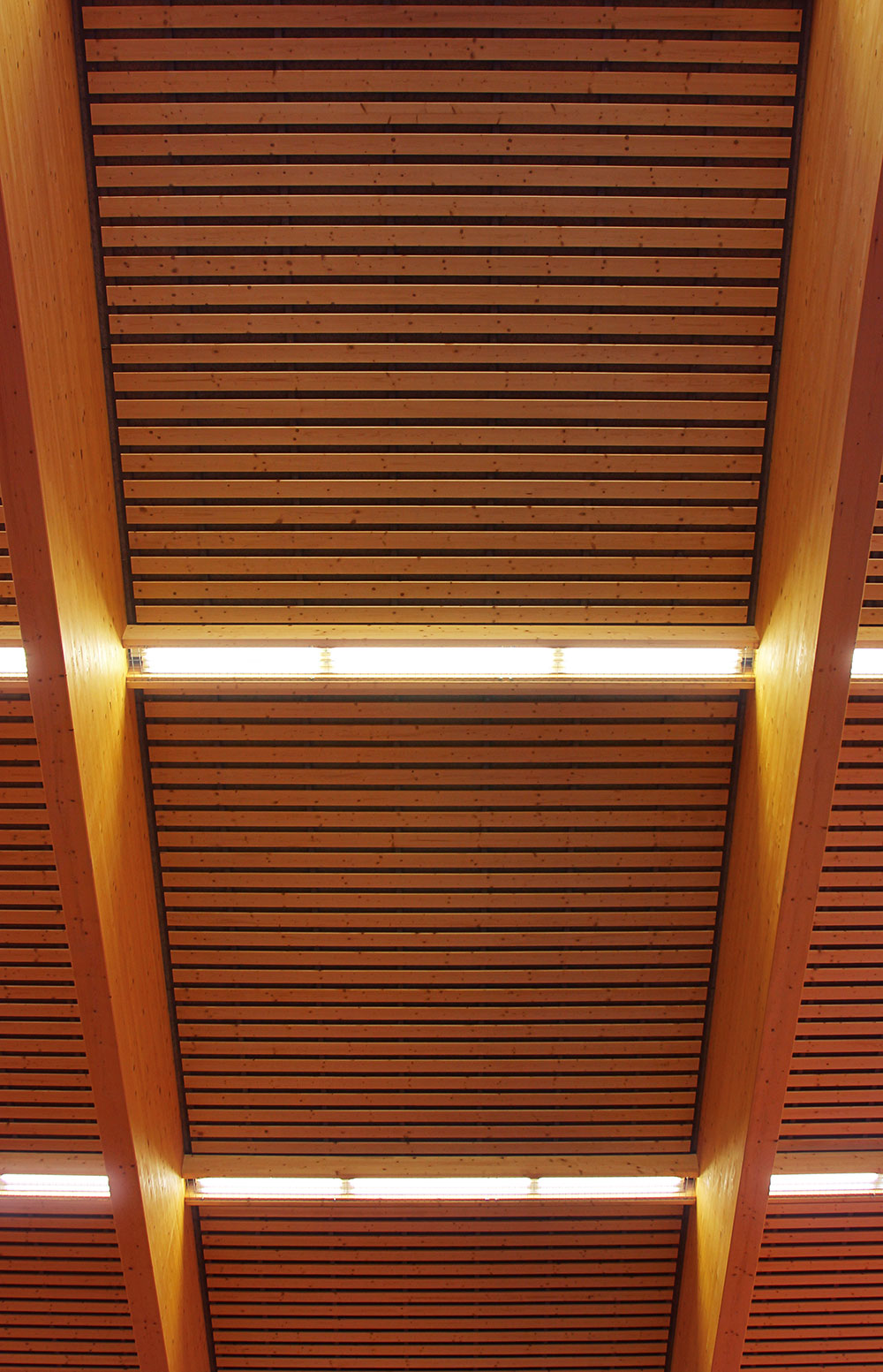 古特斯特拉圣贝内代托体育中心（Palestra San Benedetto）-14