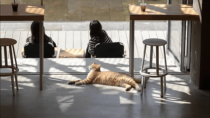 咖场 （Tension Roaster）丨中国苏州丨赵牧桓室内设计研究室,牧桓设计+灯光设计顾问-41