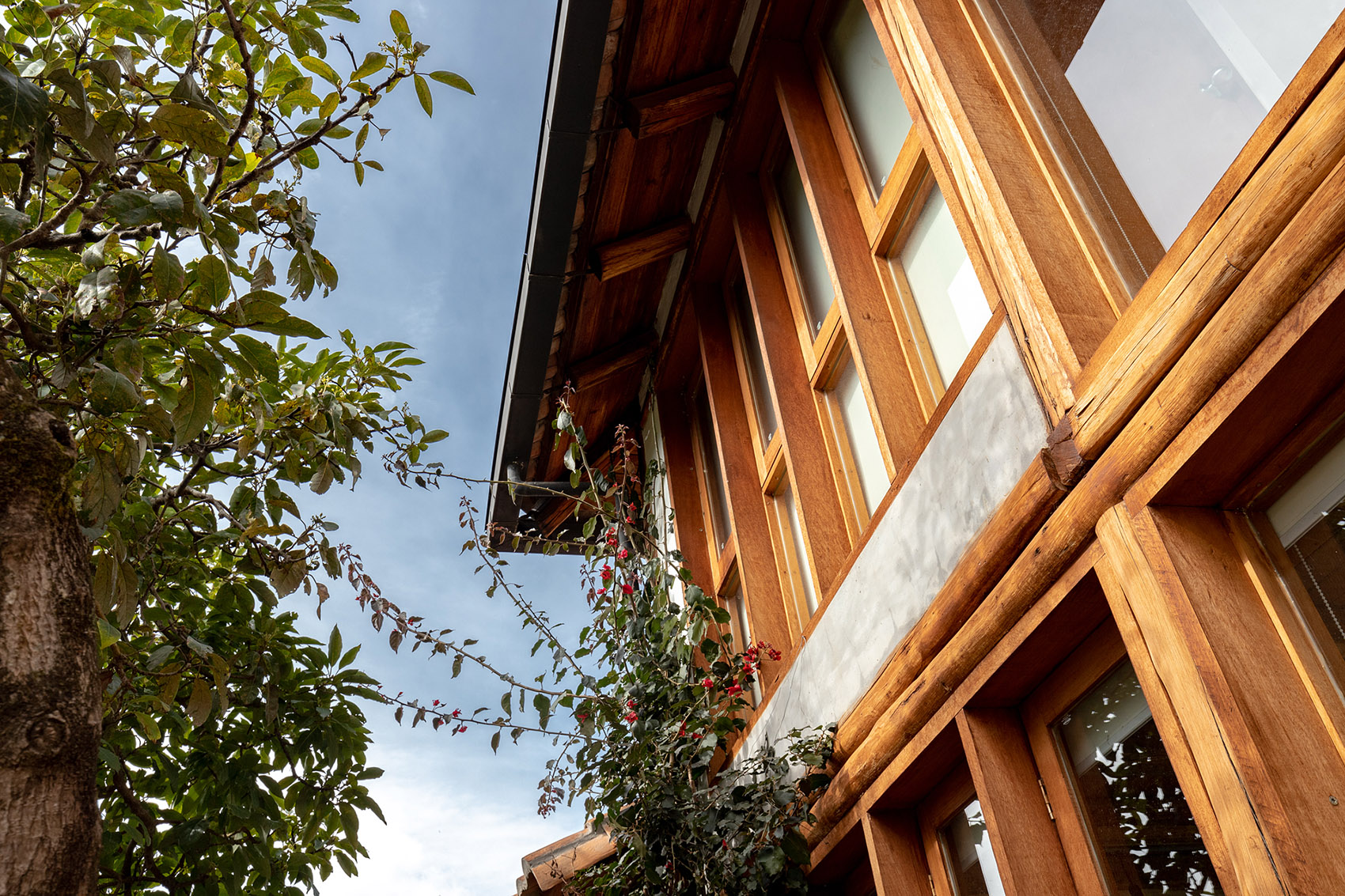 Avocados 住宅，厄瓜多尔 / JORGE RAMON GIACOMETTI-43