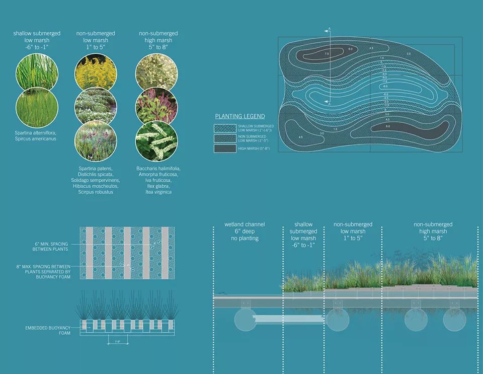 2018ASLA 研究奖得主 | 巴尔的摩漂浮湿地改善水质，促进生物多样性-21